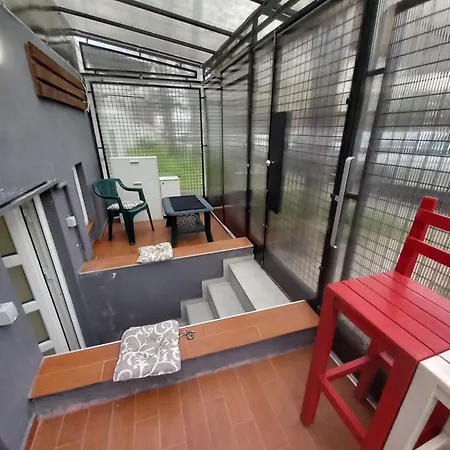 Under The Tree アパート ベオグラード