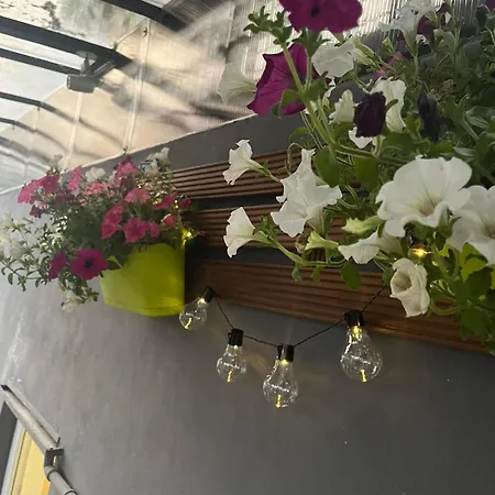 Under The Tree Apartament *